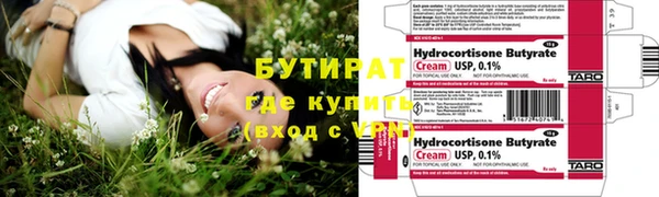 крисы Бородино