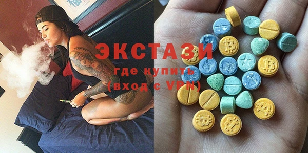 крисы Бородино