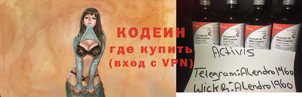 крисы Бородино