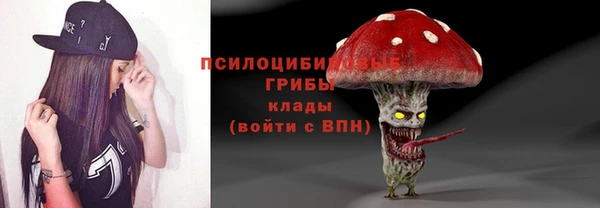 крисы Бородино