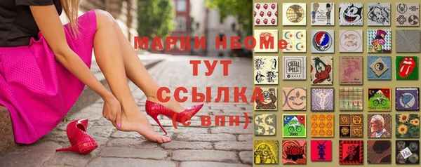 крисы Бородино