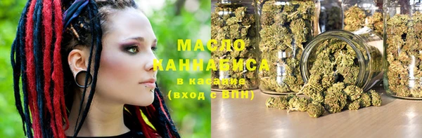 крисы Бородино