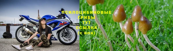 дживик Бронницы