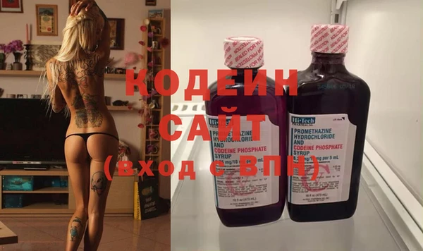 дживик Бронницы