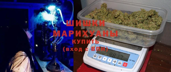 крисы Бородино