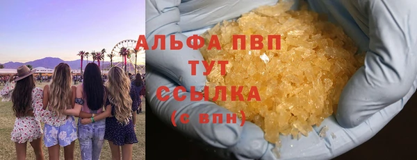 крисы Бородино