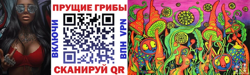 Псилоцибиновые грибы Magic Shrooms  это Telegram  Калач-на-Дону 