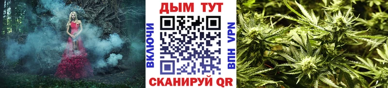 купить наркотик  Калач-на-Дону  Бошки Шишки SATIVA & INDICA 